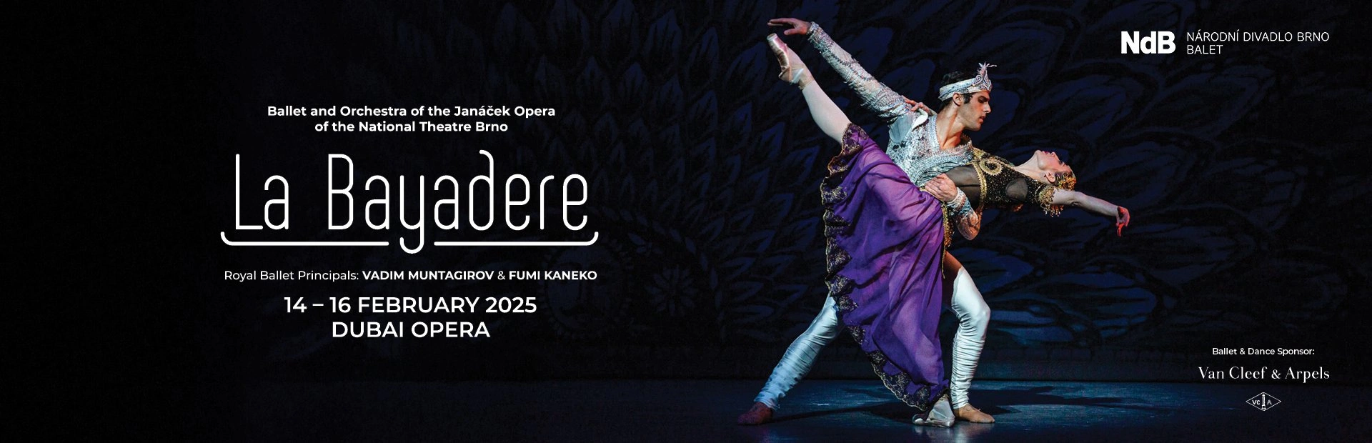 La Bayadere - Ballet — banner