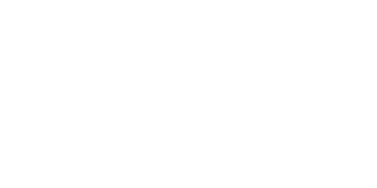 American Hospital